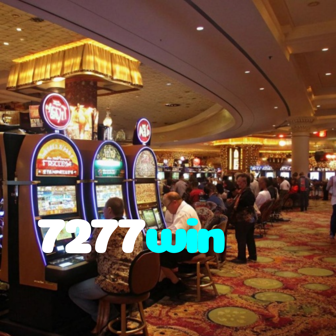 7277win